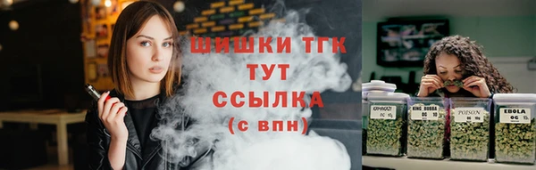 стаф Зеленокумск