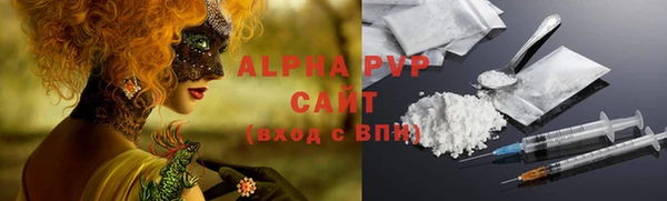 стаф Зеленокумск