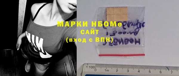 стаф Зеленокумск