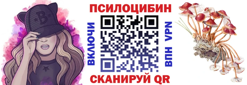 Псилоцибиновые грибы Cubensis  цены наркотик  блэк спрут зеркало  Кисловодск 