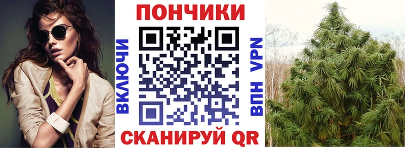 даркнет Telegram  Кисловодск  Марихуана White Widow 